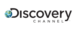Discovery